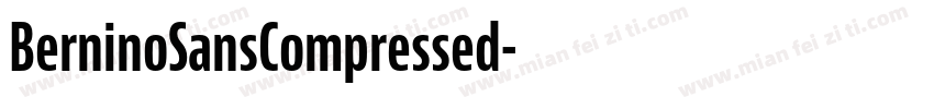 BerninoSansCompressed字体转换