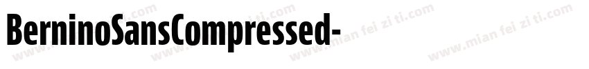 BerninoSansCompressed字体转换
