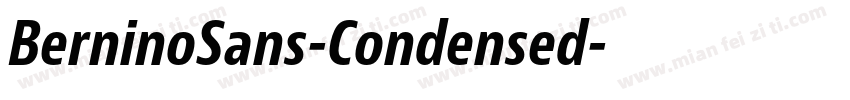 BerninoSans-Condensed字体转换