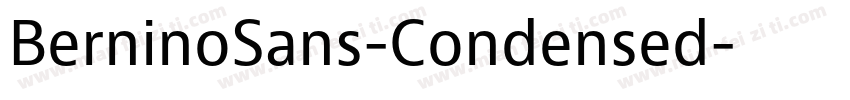 BerninoSans-Condensed字体转换