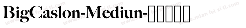 BigCaslon-Mediun字体转换