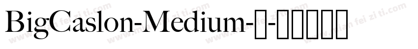 BigCaslon-Medium-中字体转换