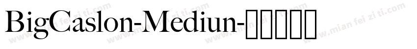 BigCaslon-Mediun字体转换