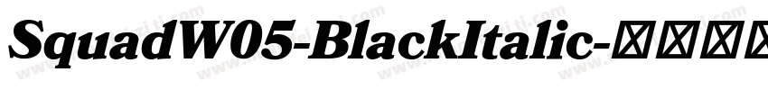 SquadW05-BlackItalic字体转换