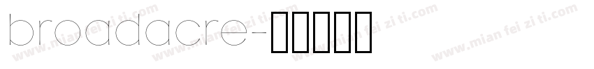 broadacre字体转换