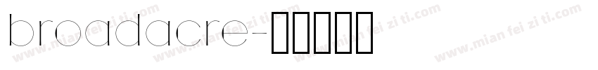 broadacre字体转换