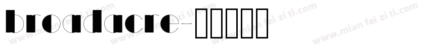 broadacre字体转换