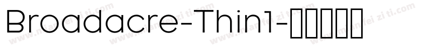 Broadacre-Thin1字体转换