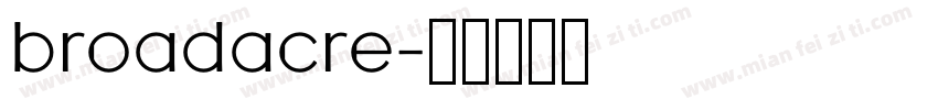 broadacre字体转换