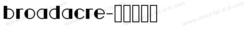 broadacre字体转换