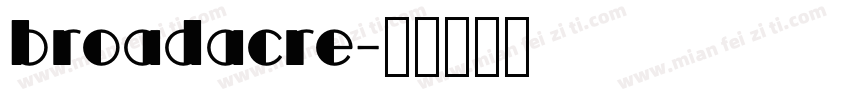 broadacre字体转换