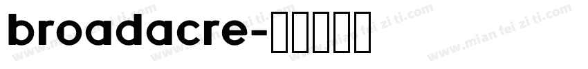 broadacre字体转换