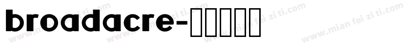 broadacre字体转换