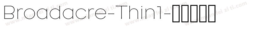 Broadacre-Thin1字体转换