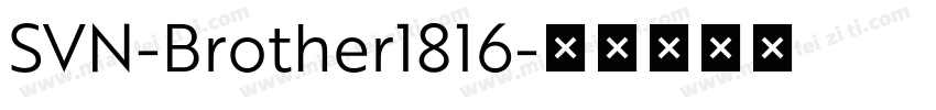 SVN-Brother1816字体转换