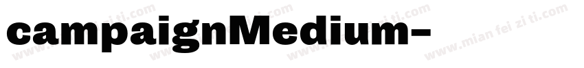 campaignMedium字体转换