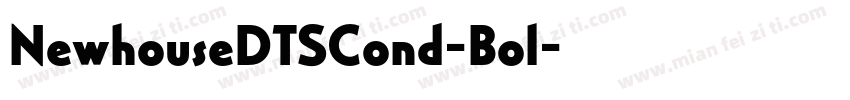 NewhouseDTSCond-Bol字体转换