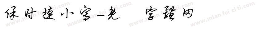 保时捷小写字体转换