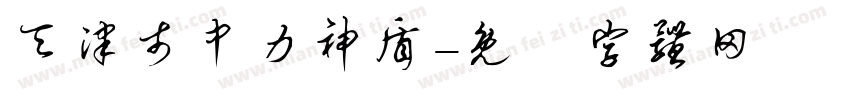 天津市中力神盾字体转换