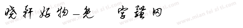 晓轩好物字体转换