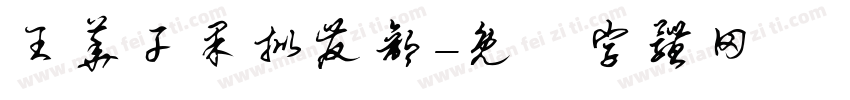 王华干果批发部字体转换