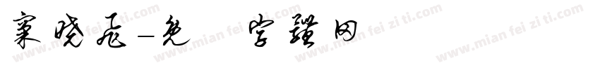 窦晓飞字体转换