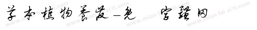 草本植物养发字体转换