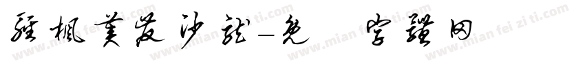 轻枫美发沙龙字体转换