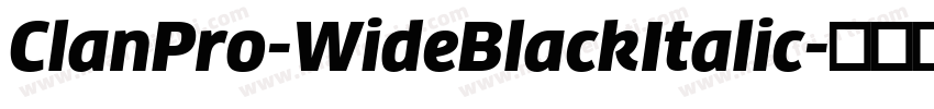 ClanPro-WideBlackItalic字体转换