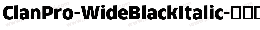 ClanPro-WideBlackItalic字体转换