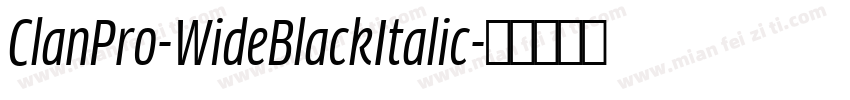 ClanPro-WideBlackItalic字体转换