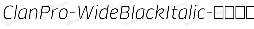 ClanPro-WideBlackItalic字体转换