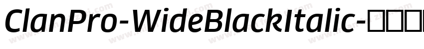 ClanPro-WideBlackItalic字体转换