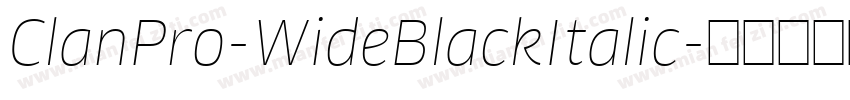 ClanPro-WideBlackItalic字体转换