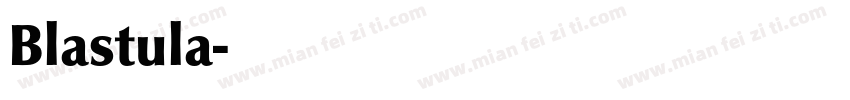 Blastula字体转换