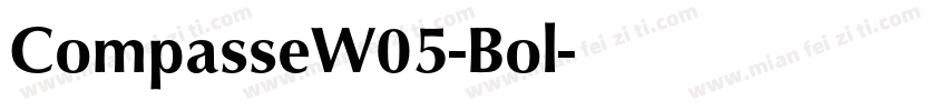 CompasseW05-Bol字体转换