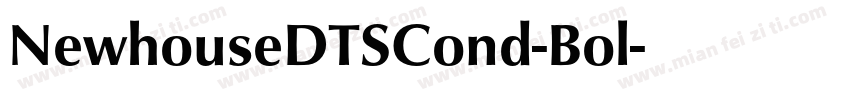 NewhouseDTSCond-Bol字体转换