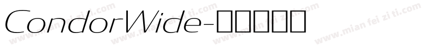 CondorWide字体转换
