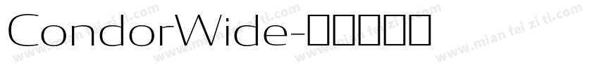 CondorWide字体转换