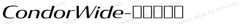 CondorWide字体转换