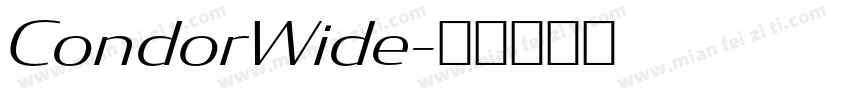 CondorWide字体转换