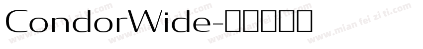 CondorWide字体转换