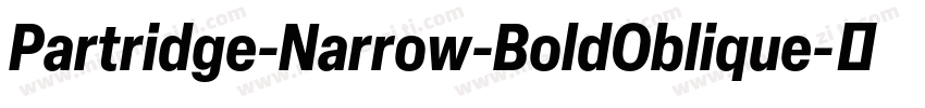 Partridge-Narrow-BoldOblique字体转换