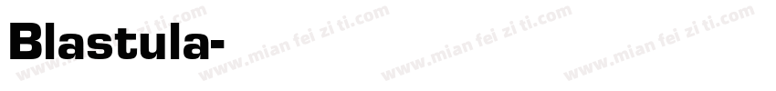 Blastula字体转换
