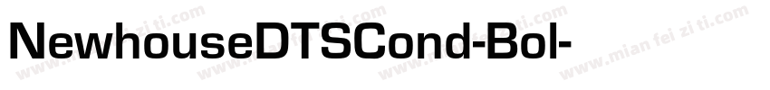 NewhouseDTSCond-Bol字体转换