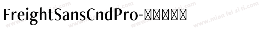 FreightSansCndPro字体转换