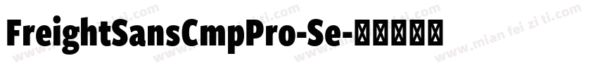 FreightSansCmpPro-Se字体转换