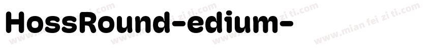 HossRound-edium字体转换