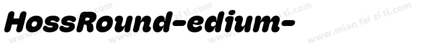 HossRound-edium字体转换