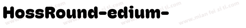 HossRound-edium字体转换